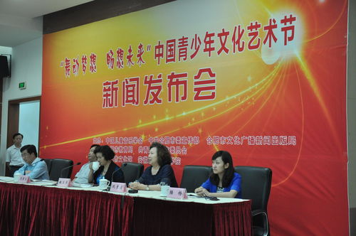 2015中国合肥青少年文化艺术节 文化交流的青春盛宴